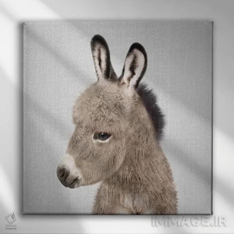 تابلو الاغ اثر گال دیزاین - نمای روبهرو روی دیوار