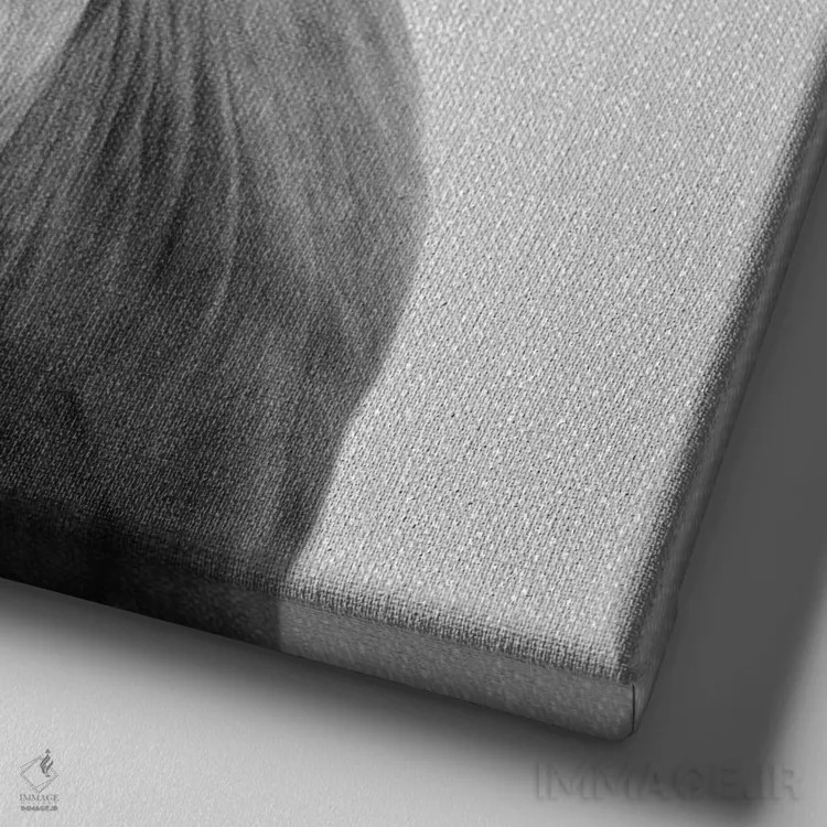 تابلو گاو در سیاه و سفید اثر گال دیزاین - نمای نزدیک بافت بوم