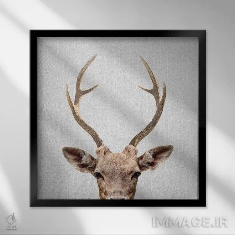 تابلو گوزن اثر گال دیزاین - نمای قابدار مشکی