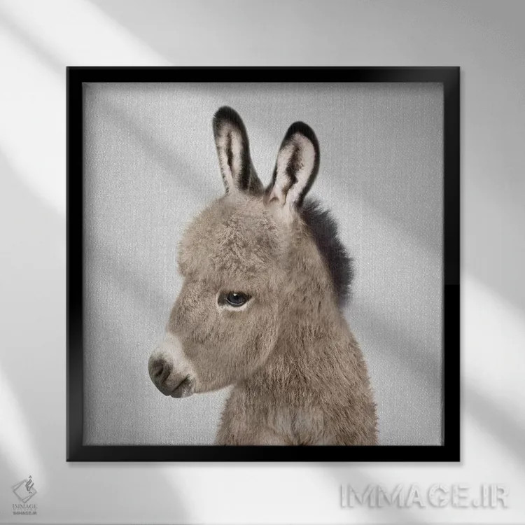 تابلو الاغ اثر گال دیزاین - نمای قابدار مشکی