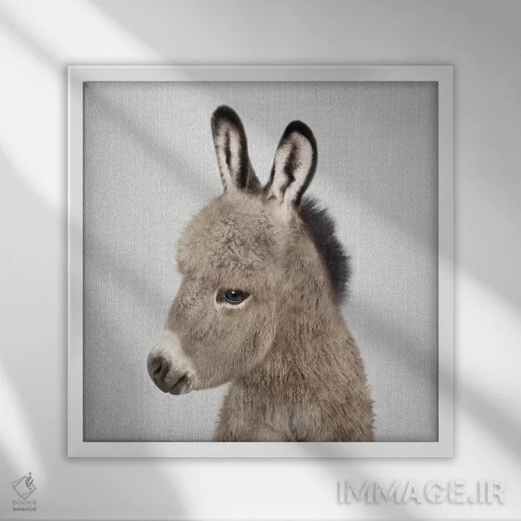 تابلو الاغ اثر گال دیزاین - نمای قابدار سفید