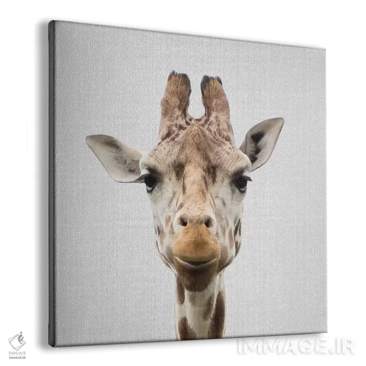 تابلو زرافه ۱ اثر گال دیزاین - نمای پرسپکتیو محصول