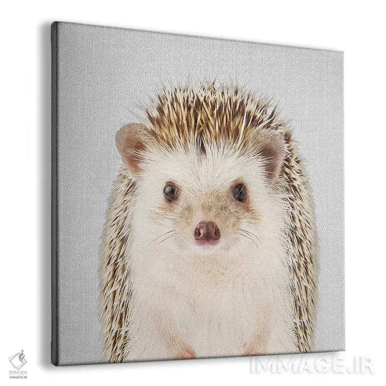 تابلو جوجهتیغی اثر گال دیزاین - نمای پرسپکتیو محصول