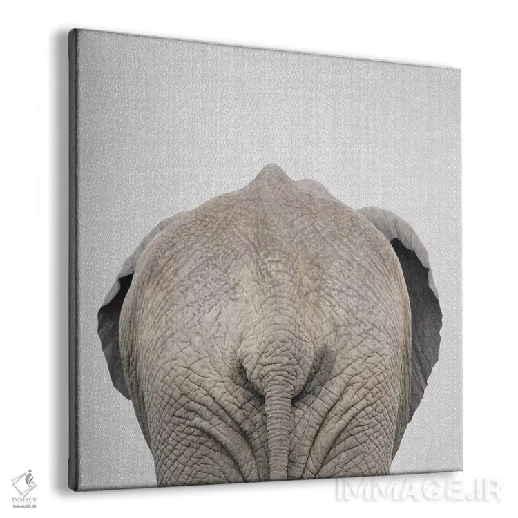 تابلو دم فیل اثر گال دیزاین - نمای پرسپکتیو محصول