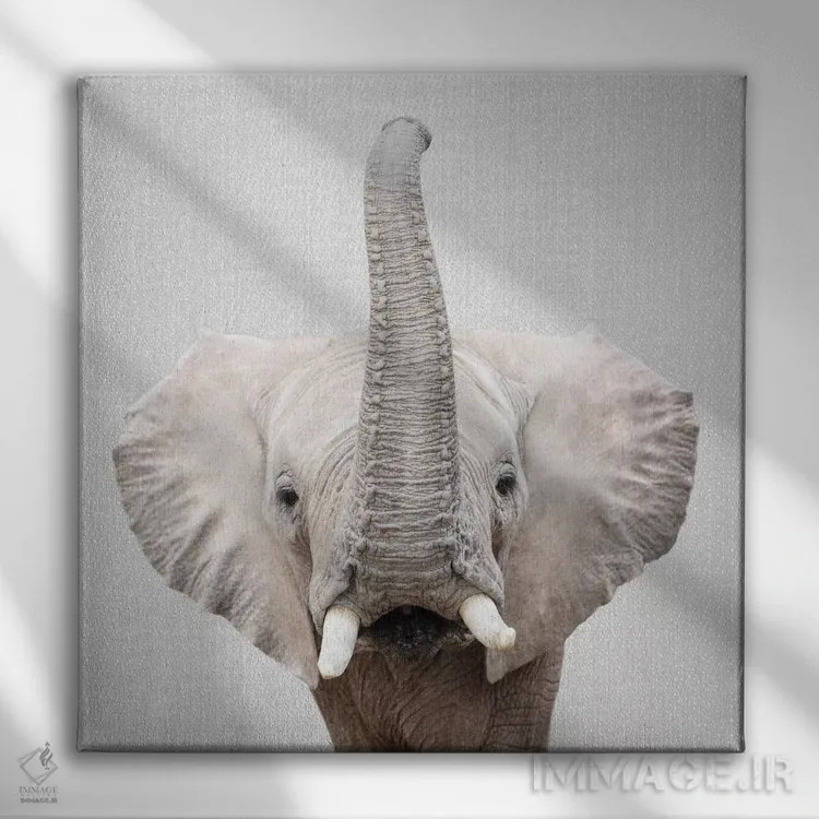 تابلو فیل ۲ اثر گال دیزاین - نمای روبهرو روی دیوار