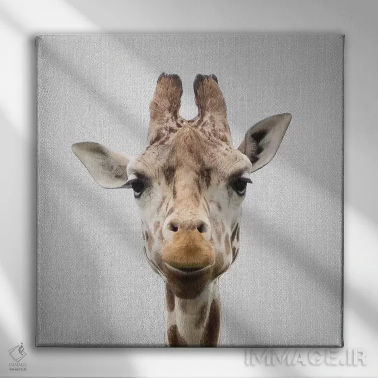 تابلو زرافه ۱ اثر گال دیزاین - نمای روبهرو روی دیوار
