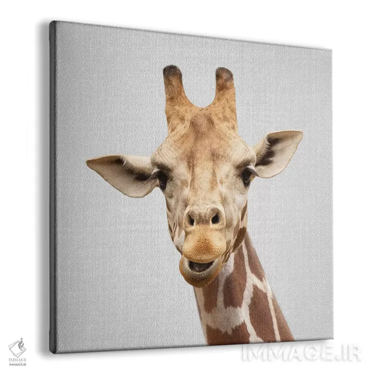 تابلو زرافه ۲ اثر گال دیزاین - نمای پرسپکتیو محصول
