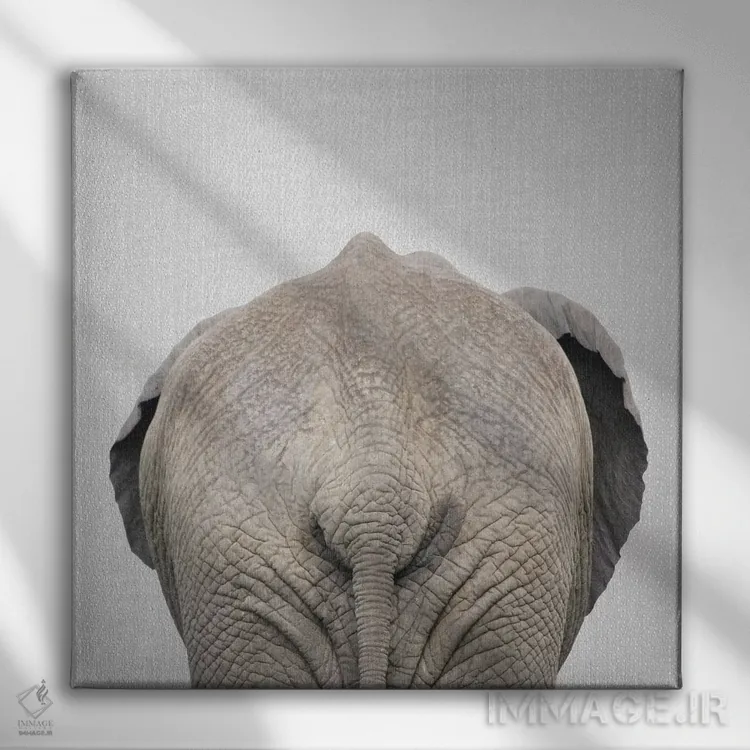 تابلو دم فیل اثر گال دیزاین - نمای روبهرو روی دیوار