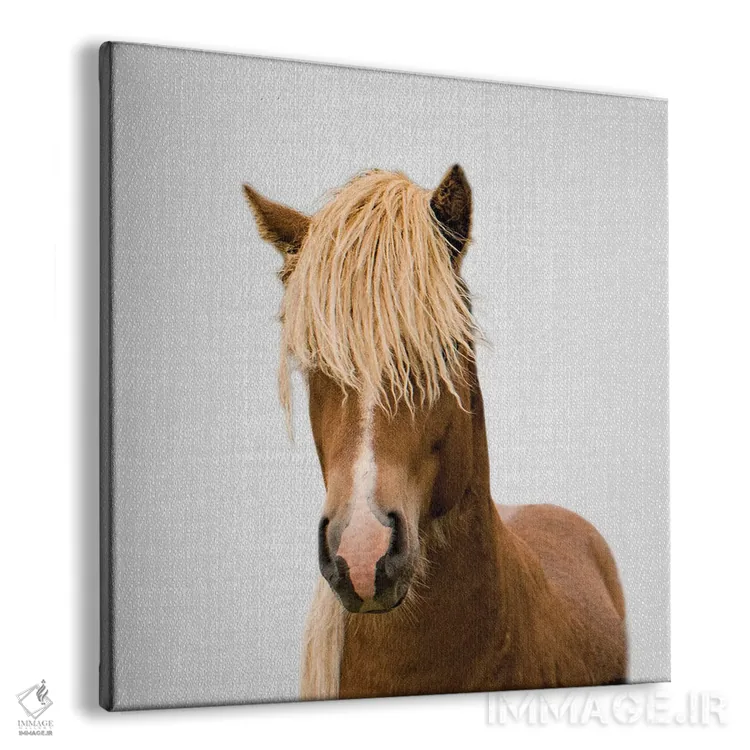 تابلو اسب ۱ اثر گال دیزاین - نمای پرسپکتیو محصول