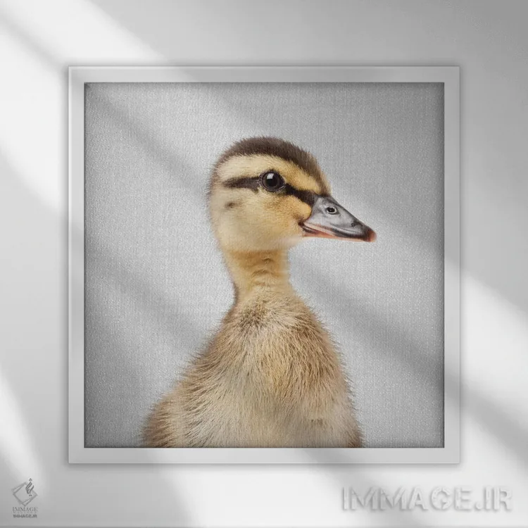 تابلو جوجه اردک اثر گال دیزاین - نمای قابدار سفید