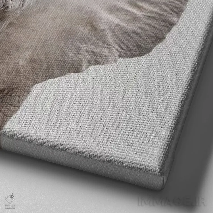 تابلو فیل ۲ اثر گال دیزاین - نمای نزدیک بافت بوم