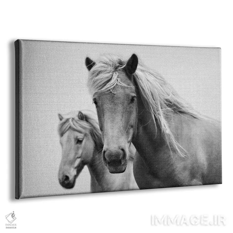 تابلو اسبها در سیاه و سفید اثر گال دیزاین - نمای پرسپکتیو محصول