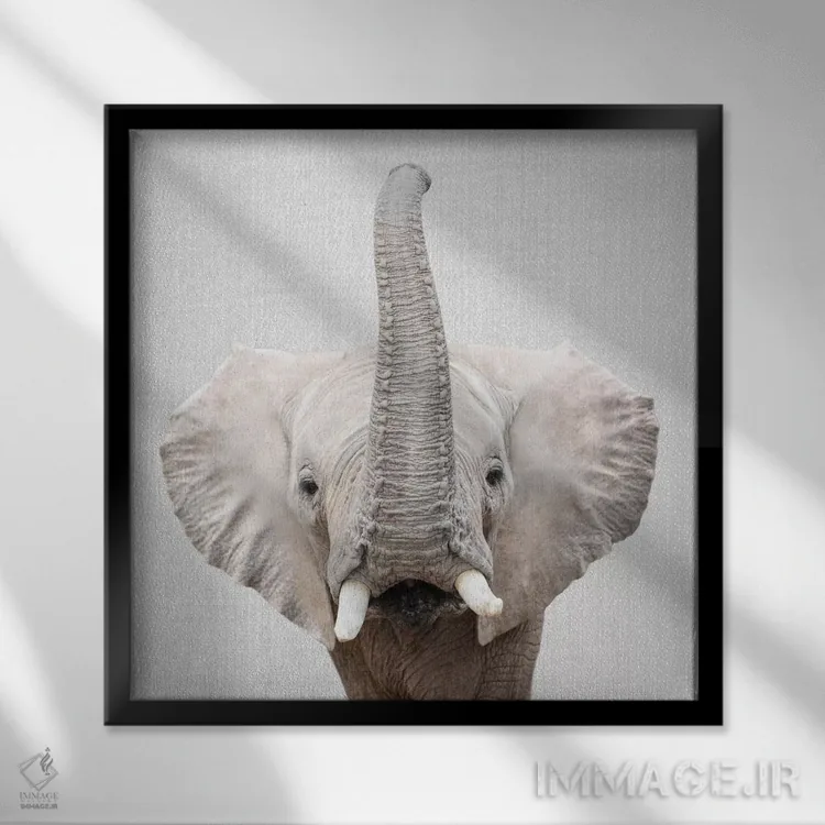 تابلو فیل ۲ اثر گال دیزاین - نمای قابدار مشکی