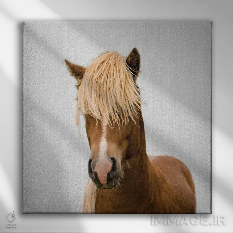 تابلو اسب ۱ اثر گال دیزاین - نمای روبهرو روی دیوار