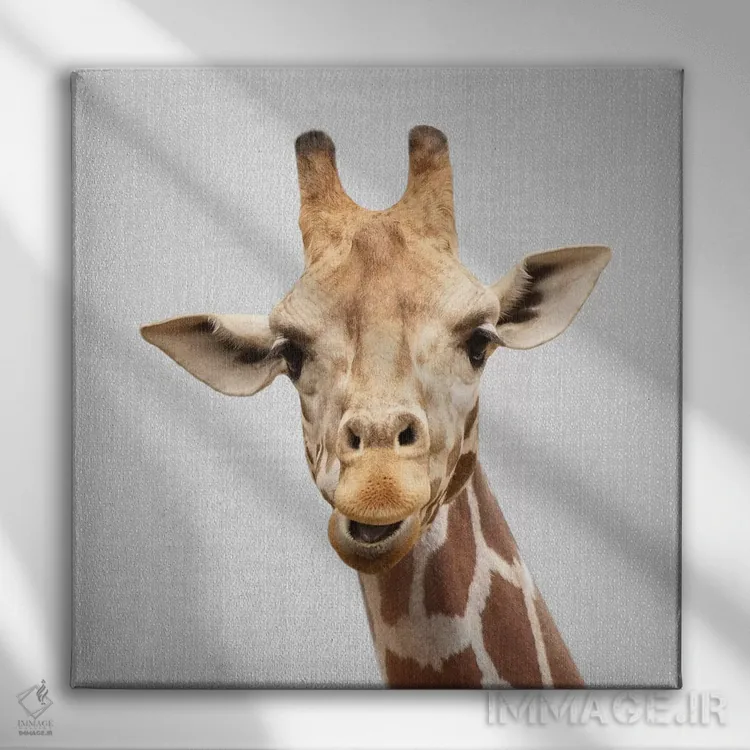 تابلو زرافه ۲ اثر گال دیزاین - نمای روبهرو روی دیوار