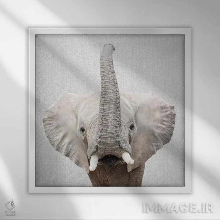 تابلو فیل ۲ اثر گال دیزاین - نمای قابدار سفید