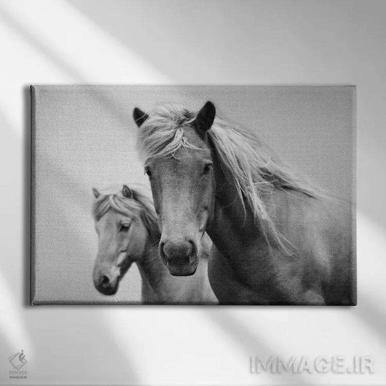 تابلو اسبها در سیاه و سفید اثر گال دیزاین - نمای روبهرو روی دیوار