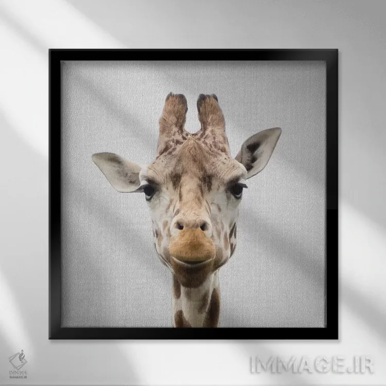 تابلو زرافه ۱ اثر گال دیزاین - نمای قابدار مشکی