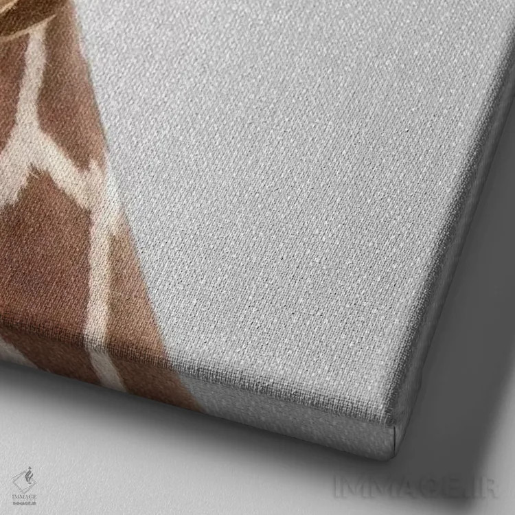 تابلو زرافه ۲ اثر گال دیزاین - نمای نزدیک بافت بوم