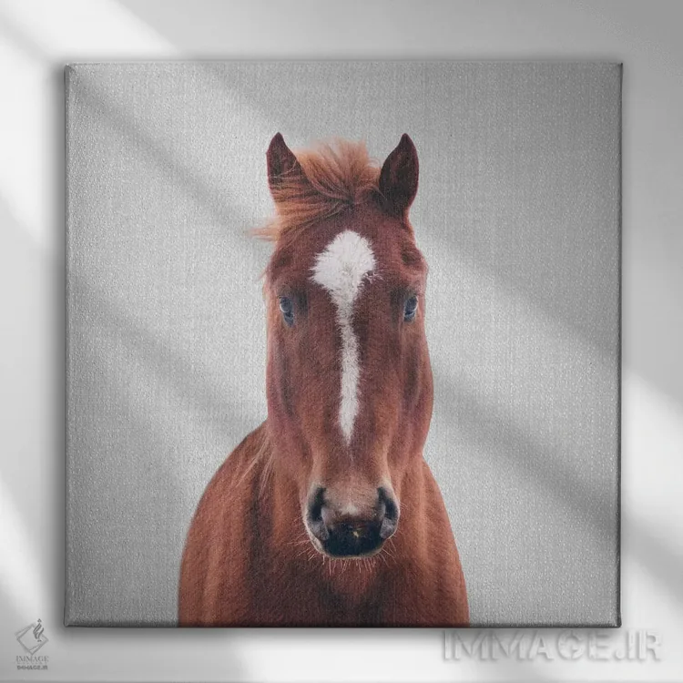 تابلو اسب ۲ اثر گال دیزاین - نمای روبهرو روی دیوار