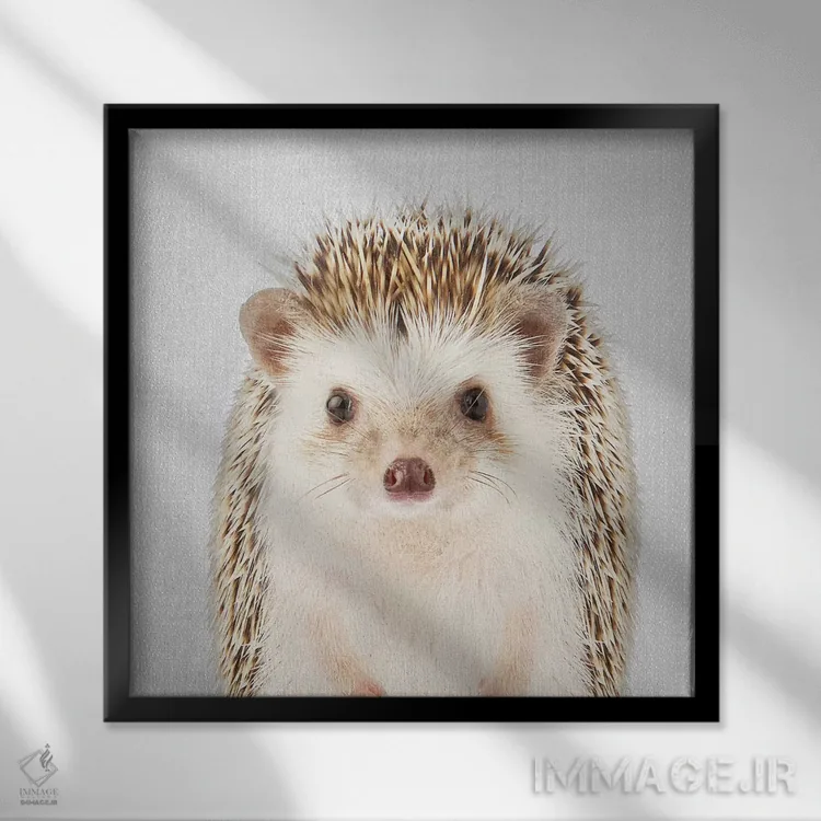 تابلو جوجهتیغی اثر گال دیزاین - نمای قابدار مشکی