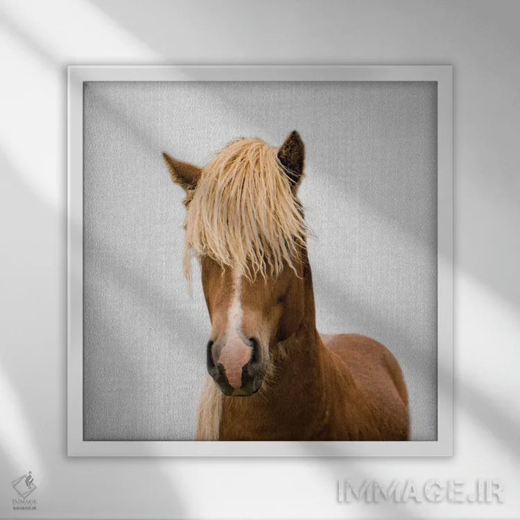 تابلو اسب ۱ اثر گال دیزاین - نمای قابدار سفید