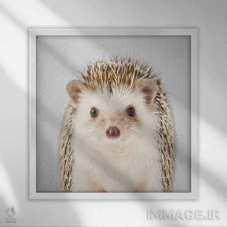 تابلو جوجهتیغی اثر گال دیزاین - نمای قابدار سفید