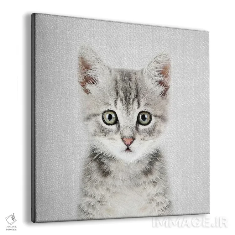 تابلو بچهگربه اثر گال دیزاین - نمای پرسپکتیو محصول