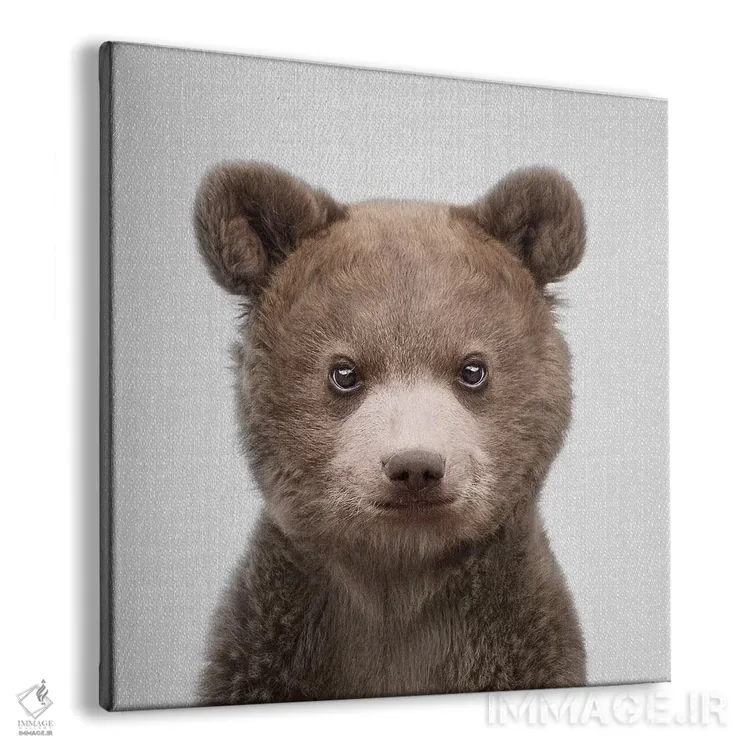 تابلو خرس بچه اثر گال دیزاین - نمای پرسپکتیو محصول