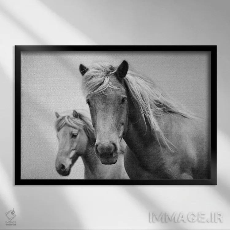 تابلو اسبها در سیاه و سفید اثر گال دیزاین - نمای قابدار مشکی