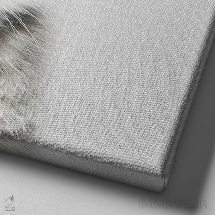 تابلو بچهگربه اثر گال دیزاین - نمای نزدیک بافت بوم