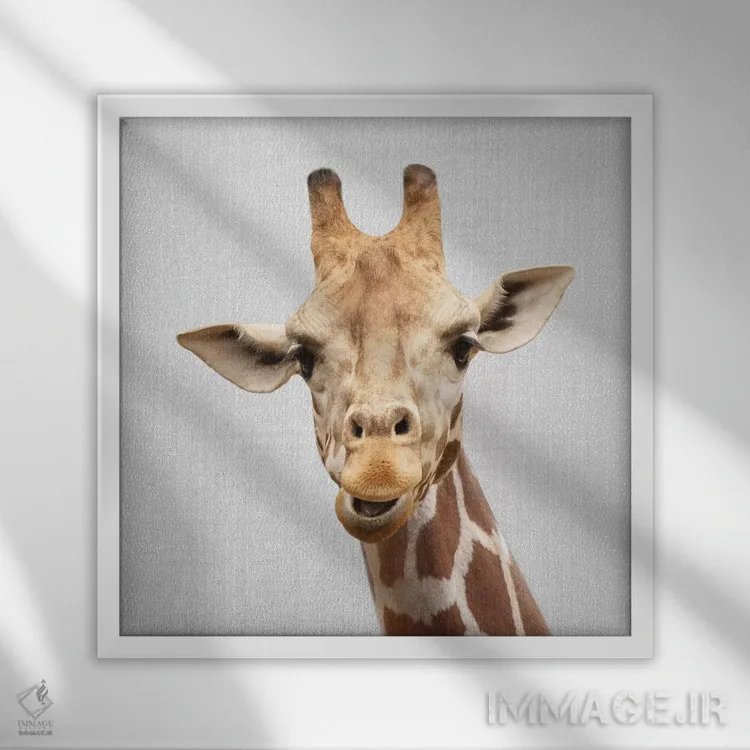 تابلو زرافه ۲ اثر گال دیزاین - نمای قابدار سفید