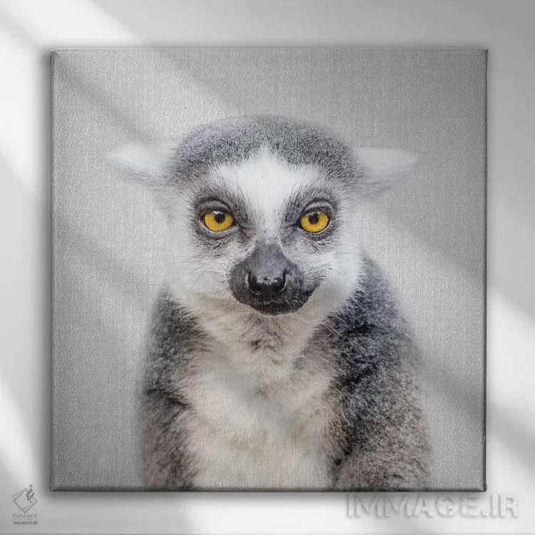 تابلو لمور اثر گال دیزاین - نمای روبهرو روی دیوار