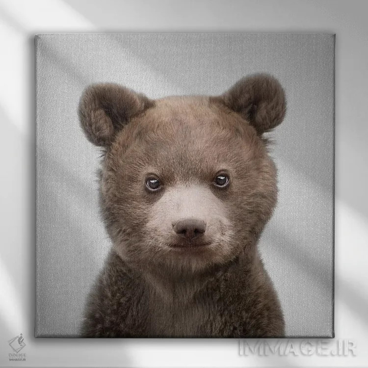 تابلو خرس بچه اثر گال دیزاین - نمای روبهرو روی دیوار