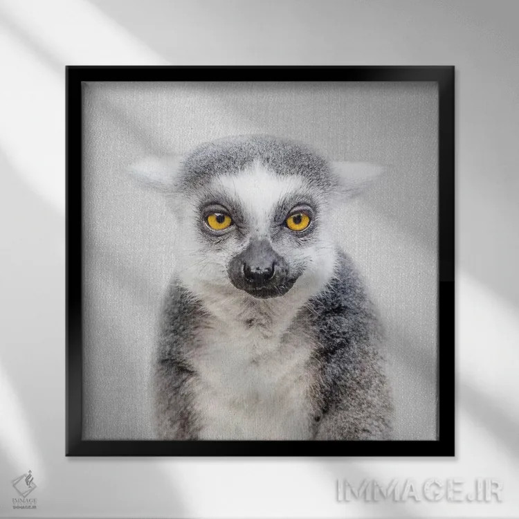 تابلو لمور اثر گال دیزاین - نمای قابدار مشکی