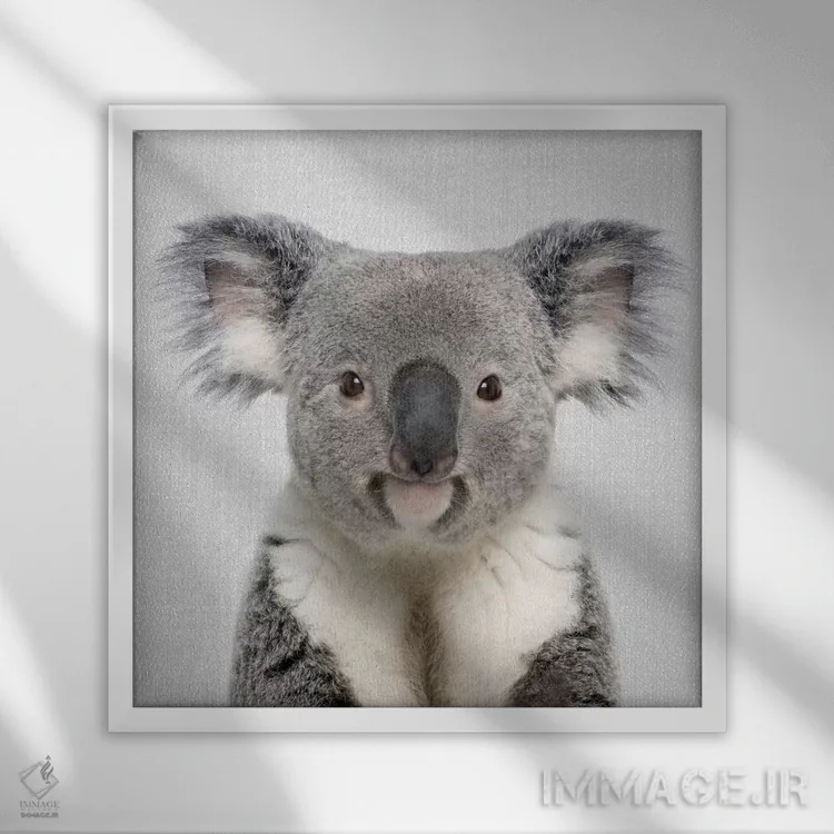 تابلو کوالا اثر گال دیزاین - نمای قابدار سفید