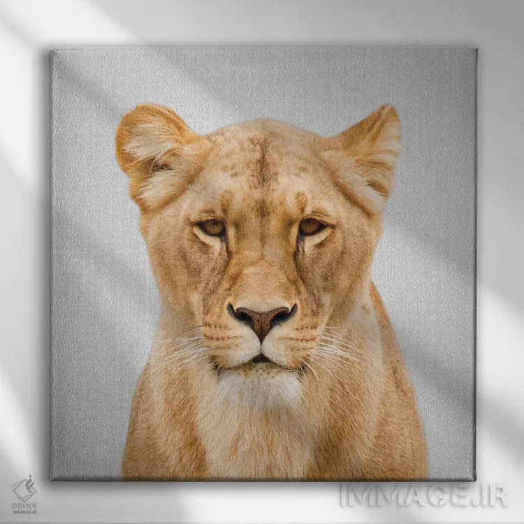 تابلو شیر ماده اثر گال دیزاین - نمای روبهرو روی دیوار