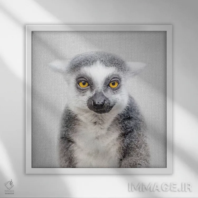 تابلو لمور اثر گال دیزاین - نمای قابدار سفید