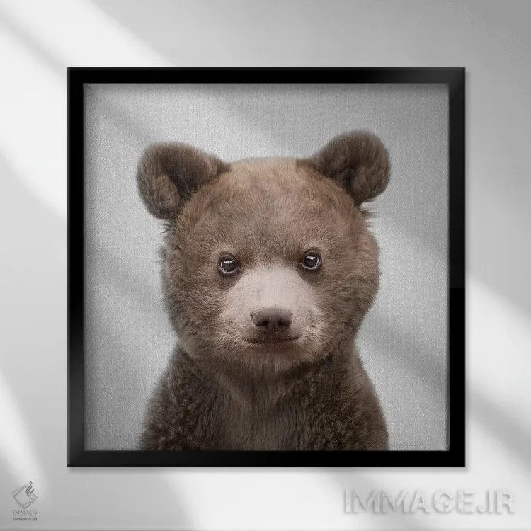 تابلو خرس بچه اثر گال دیزاین - نمای قابدار مشکی