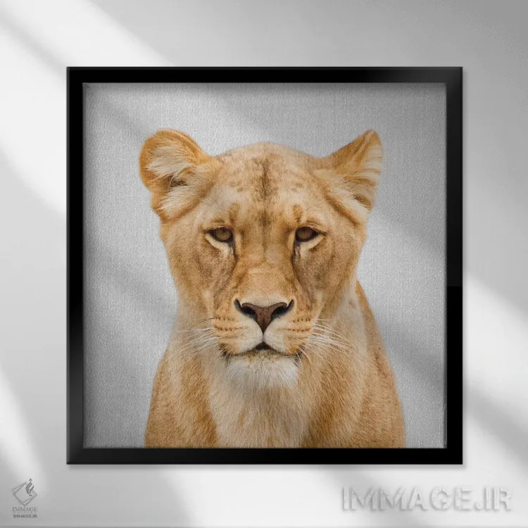 تابلو شیر ماده اثر گال دیزاین - نمای قابدار مشکی