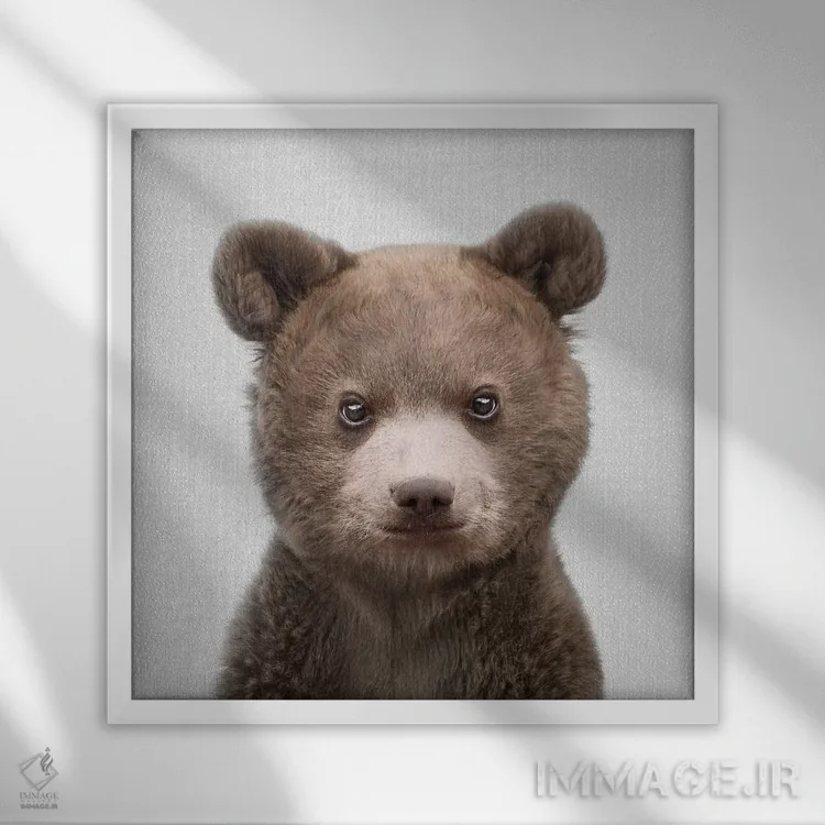 تابلو خرس بچه اثر گال دیزاین - نمای قابدار سفید