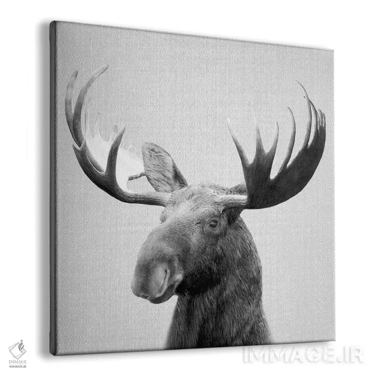 تابلو گوزن شمالی در سیاه و سفید اثر گال دیزاین - نمای پرسپکتیو محصول