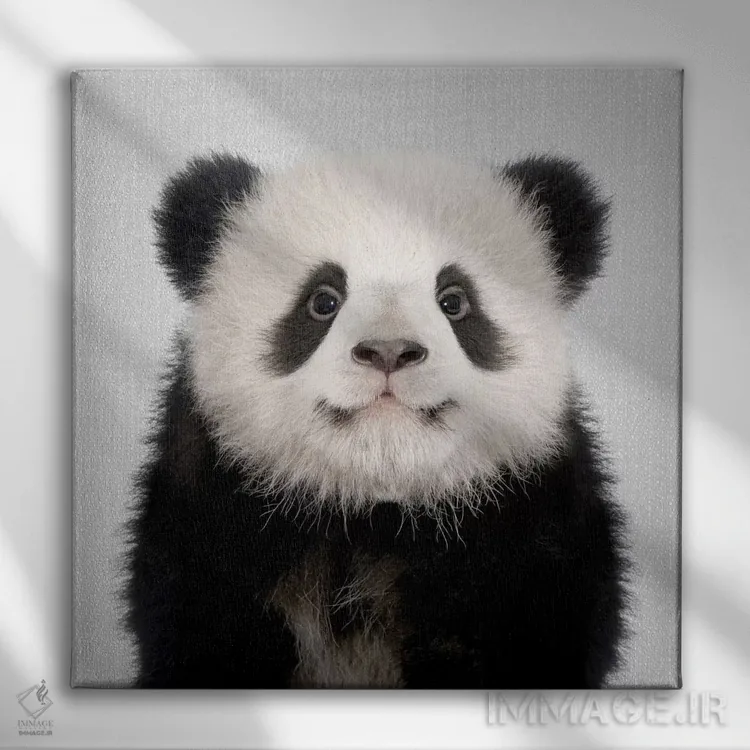 تابلو خرس پاندا اثر گال دیزاین - نمای روبهرو روی دیوار