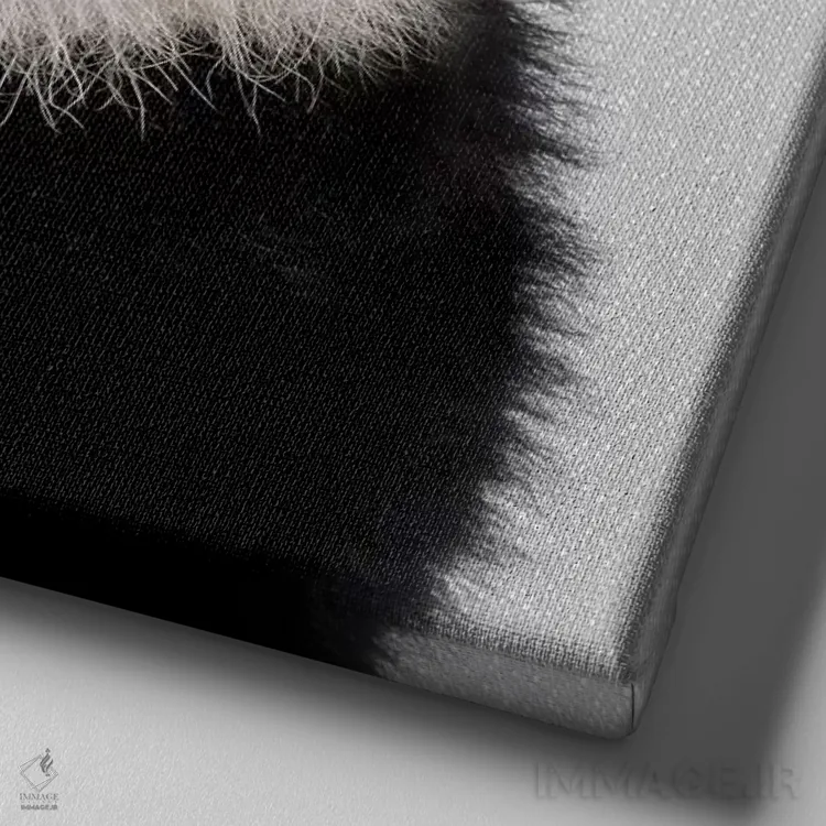 تابلو خرس پاندا اثر گال دیزاین - نمای نزدیک بافت بوم