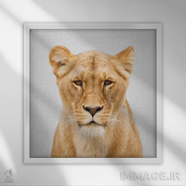 تابلو شیر ماده اثر گال دیزاین - نمای قابدار سفید