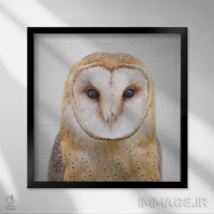 تابلو جغد اثر گال دیزاین - نمای قابدار مشکی