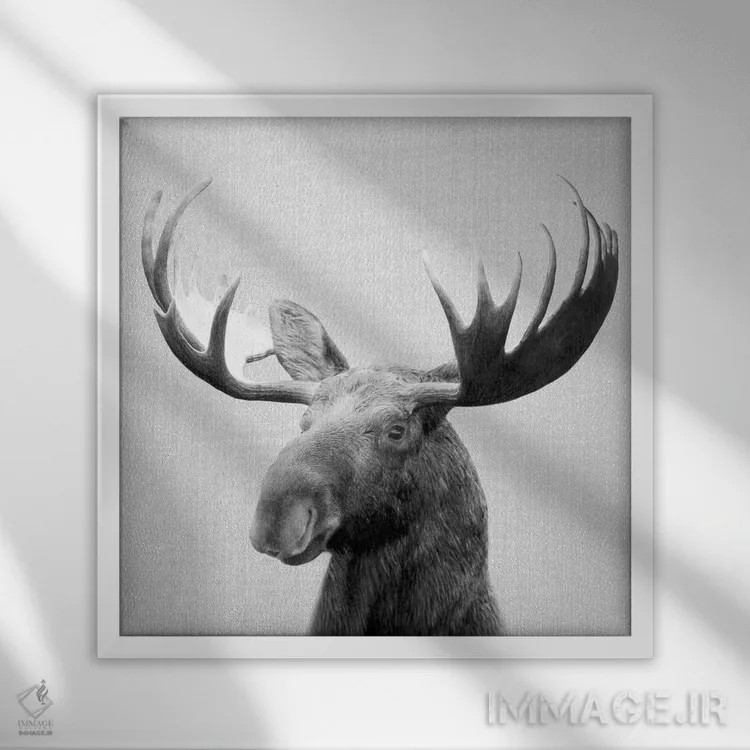 تابلو گوزن شمالی در سیاه و سفید اثر گال دیزاین - نمای قابدار سفید