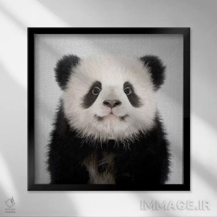 تابلو خرس پاندا اثر گال دیزاین - نمای قابدار مشکی