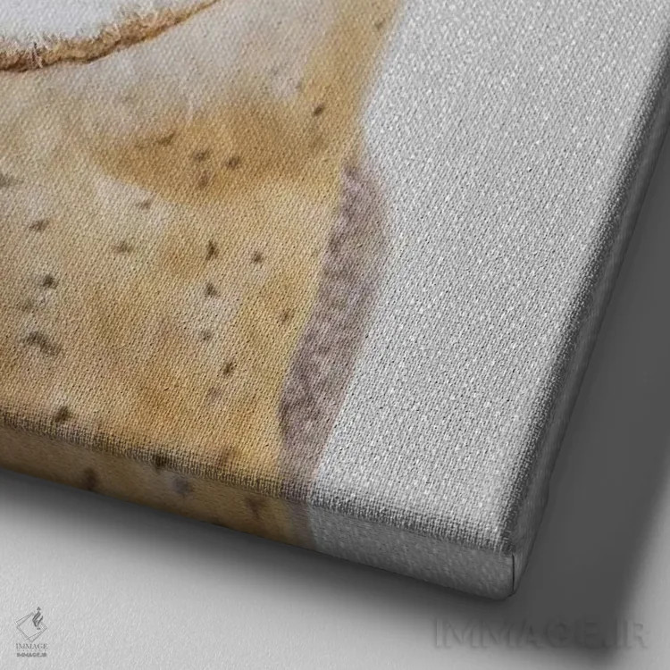 تابلو جغد اثر گال دیزاین - نمای نزدیک بافت بوم