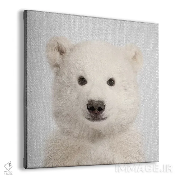 تابلو خرس قطبی اثر گال دیزاین - نمای پرسپکتیو محصول